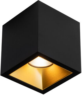 Boss & Wessing Spot BWS Daniel Aluminium 745Lm 9,2W Zwart Met Gouden Anti-Glare Ring