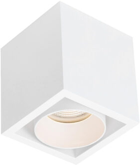 Boss & Wessing Spot BWS Regina Aluminium 745Lm 9,2W Wit Met Witte Anti-Glare Ring