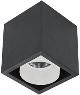 Boss & Wessing Spot BWS Regina Aluminium 745Lm 9,2W Zwart Met Witte Anti-Glare Ring