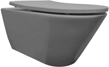 Boss & Wessing Wandcloset Met Toiletzitting BWS Lia Rimless Mat Grijs
