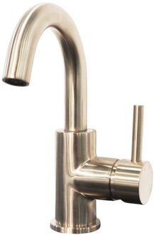 Boss & Wessing Wastafelkraan BWS Cemal met Draaibare Uitloop Geborsteld Messing