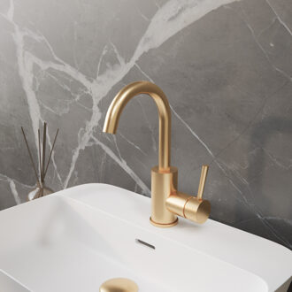 Boss & Wessing Wastafelkraan BWS | Colorato Ensy | Gebogen Uitloop | Geborsteld Goud