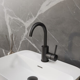 Boss & Wessing Wastafelkraan BWS | Colorato Ensy | Gebogen Uitloop | Mat Zwart