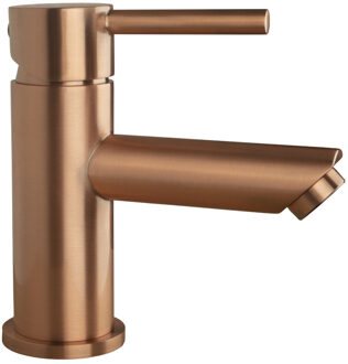 Boss & Wessing Wastafelkraan BWS | Colorato Ensy | Laag | Geborsteld Koper