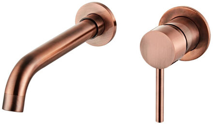 Boss & Wessing Wastafelkraan Inbouw Saniclear Koper Eenhendel Rond Geborsteld Koper