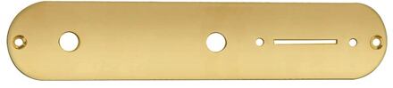 Boston CP-TE-AG control plate, 32x160mm, Teaser, 9,5mm holes for inch pots, gold