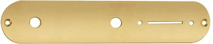 Boston CP-TE-G control plate, 32x160mm, Teaser, 8,5mm holes for metric pots, gold