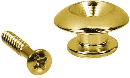 Boston EP-HN-G strap buttons strap buttons, metaal, goud, met schroef, rond model, diameter 17mm, 2-pack