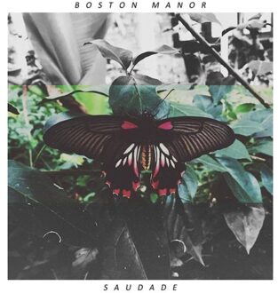 Boston Manor - Saudade