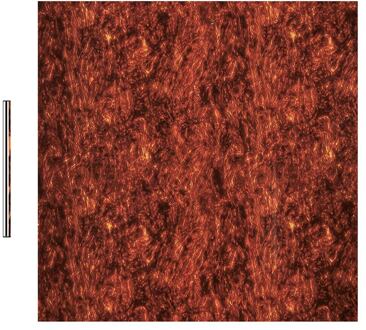 Boston PG-433-T slagplaat materiaal slagplaat materiaal, tortoise, 4 ply, 30x29cm