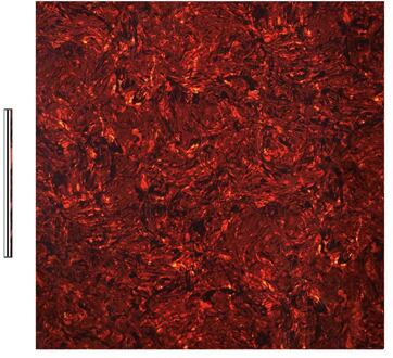 Boston PG-433-TI slagplaat materiaal slagplaat materiaal, tortoise intense, 4 ply, 30x29cm