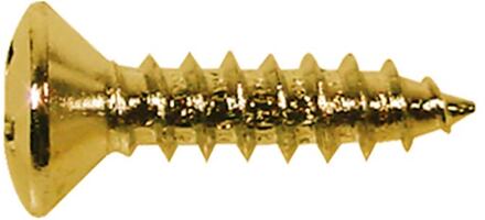 Boston TS-01-G screw, 3x12mm, 12pcs, oval countersunk, tapping, for pickguard, gold