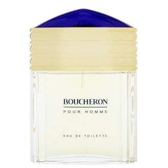 Boucheron pour homme - 100ml - eau de toilette