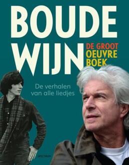 Boudewijn De Groot Oeuvreboek - Peter Voskuil