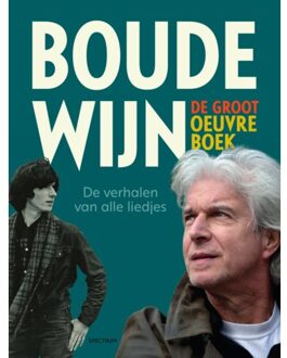Boudewijn De Groot Oeuvreboek - Peter Voskuil