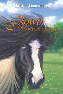 Bowi - Boek Christine Linneweever (9020622277)