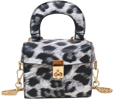 Box Tote Bag for Women Leather Zebra Leopard Handbag Female Chain Shoulder Messenger Purses luipaard