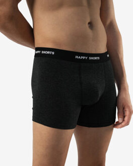 Boxershorts heren multipack 6-pack grijs / gestreept Blauw