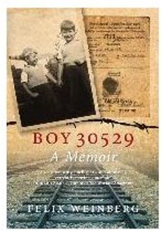 Boy 30529