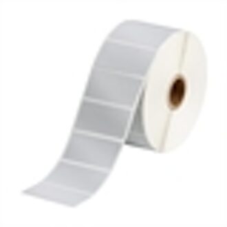 BPT-17-7563-1 label polyester gemetalliseerd 50,80 x 25,40 mm (origineel)