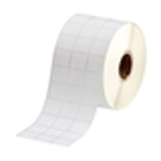 BPT-617-488 label polyester mat wit 22,86 x 22,86 mm (origineel)