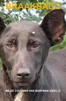 Braakbal 2 -  B. Arfman (ISBN: 9789464925463)
