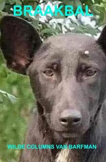 Braakbal -  B. Arfman (ISBN: 9789464481396)