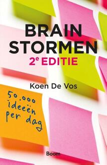 Brainstormen - Boek Koen de Vos (9024404096)