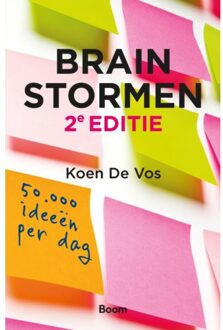Brainstormen - Boek Koen de Vos (9024404096)