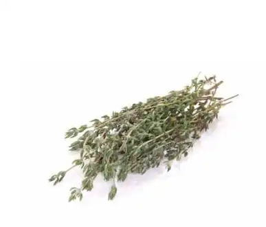 Branch bund thyme