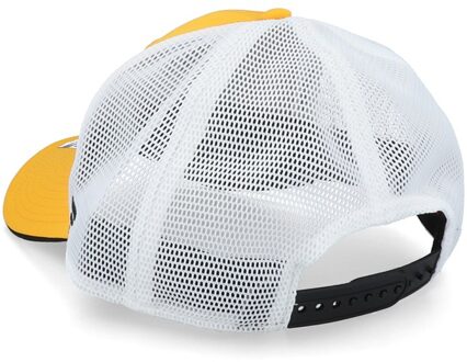 Branded NHL Boston Bruins pet Geel