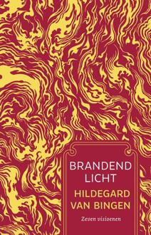 Brandend licht -  Hildegard van Bingen (ISBN: 9789020221145)