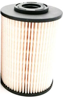 Brandstof Filter 6g9n9176ab