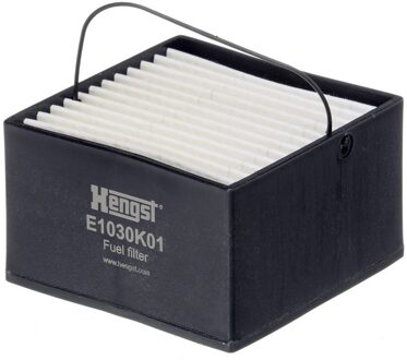 Brandstoffilter E1030K01