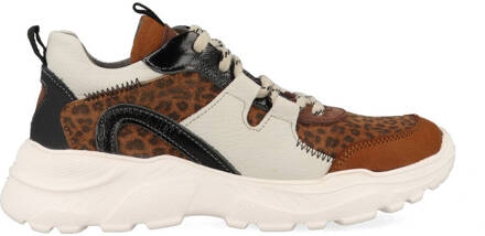 Braqeez Robin Run 421792-513 Bruin-33 maat 33