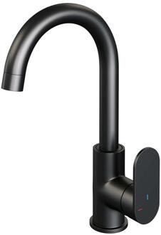 Brauer Black Edition Hoge Opbouw Wastafelmengkraan met Draaibare Ronde Uitloop Model C Mat Zwart