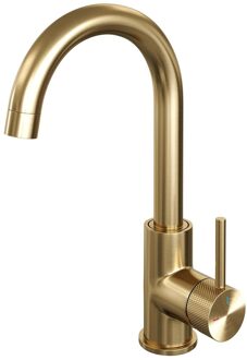 Brauer Gold carving Wastafelmengkraan opbouw - hoog - draaibaar - ronde uitloop - model a - PVD - geborsteld goud 5-GG-003-R4 Goud geborsteld PVD