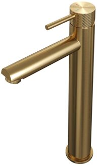 Brauer Gold carving Wastafelmengkraan opbouw - hoog - model a - PVD - geborsteld goud 5-GG-002-HD6 Goud geborsteld