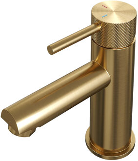 Brauer Gold carving Wastafelmengkraan opbouw - laag - model a - PVD - geborsteld goud 5-GG-001-HD6 Goud geborsteld