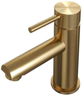 Brauer Gold carving Wastafelmengkraan opbouw - laag - model a - PVD - geborsteld goud 5-GG-001-HD6 Goud geborsteld