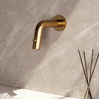 Brauer Gold Edition Fonteinkraan - inbouw - 8.5 - 18.5cm uitloop - Goud geborsteld 5-GG-257