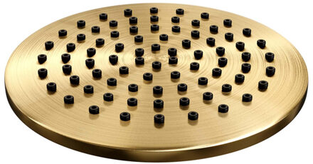 Brauer Gold Edition hoofddouche - Ø20cm - PVD - geborsteld goud 5-GG-016 Goud geborsteld