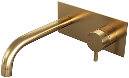 Brauer Gold Edition inbouw wastafelkraan met achterplaat - hendel 5 - geborsteld goud PVD