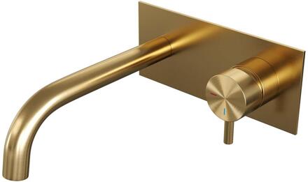 Brauer Gold Edition Inbouw Wastafelmengkraan met Gebogen Uitloop en Afdekplaat Model B1 Goud Geborsteld PVD
