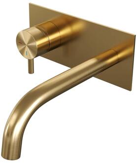 Brauer Gold Edition Inbouw Wastafelmengkraan met Gebogen Uitloop en Afdekplaat Model B2 Goud Geborsteld PVD