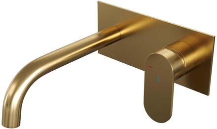 Brauer Gold Edition Inbouw Wastafelmengkraan met Gebogen Uitloop en Afdekplaat Model C1 Goud Geborsteld PVD