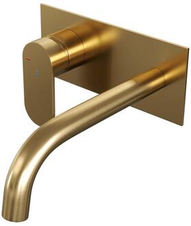 Brauer Gold Edition Inbouw Wastafelmengkraan met Gebogen Uitloop en Afdekplaat Model C2 Goud Geborsteld PVD