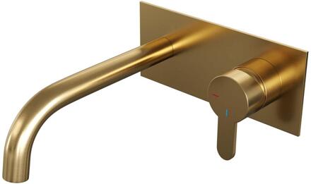 Brauer Gold Edition Inbouw Wastafelmengkraan met Gebogen Uitloop en Afdekplaat Model D1 Goud Geborsteld PVD