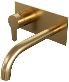 Brauer Gold Edition Inbouw Wastafelmengkraan met Gebogen Uitloop en Afdekplaat Model D2 Goud Geborsteld PVD