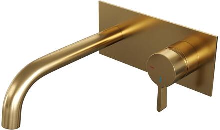 Brauer Gold Edition Inbouw Wastafelmengkraan met Gebogen Uitloop en Afdekplaat Model E1 Goud Geborsteld PVD